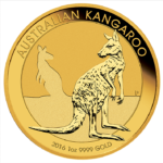 Australian Kangaroos