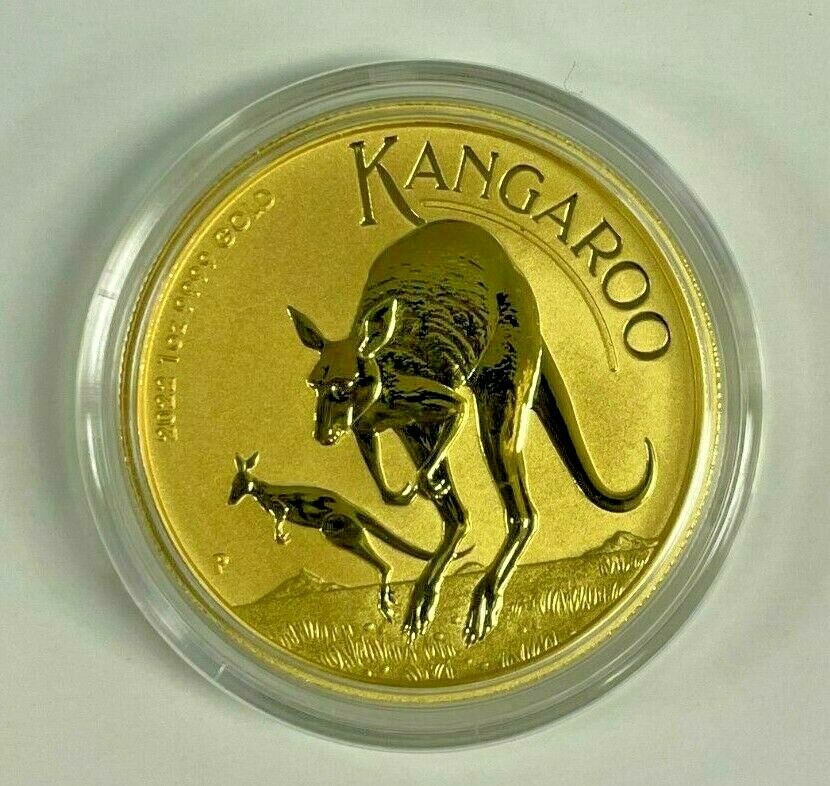 DBS Coins » 2023 1 oz Australian Gold Kangaroo